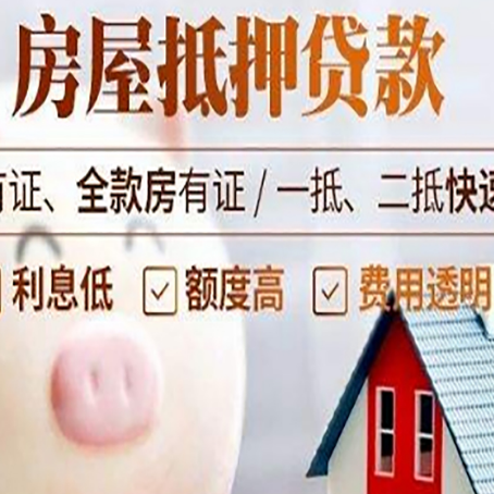 凌云贷款助贷公司新渝启服靠谱公司